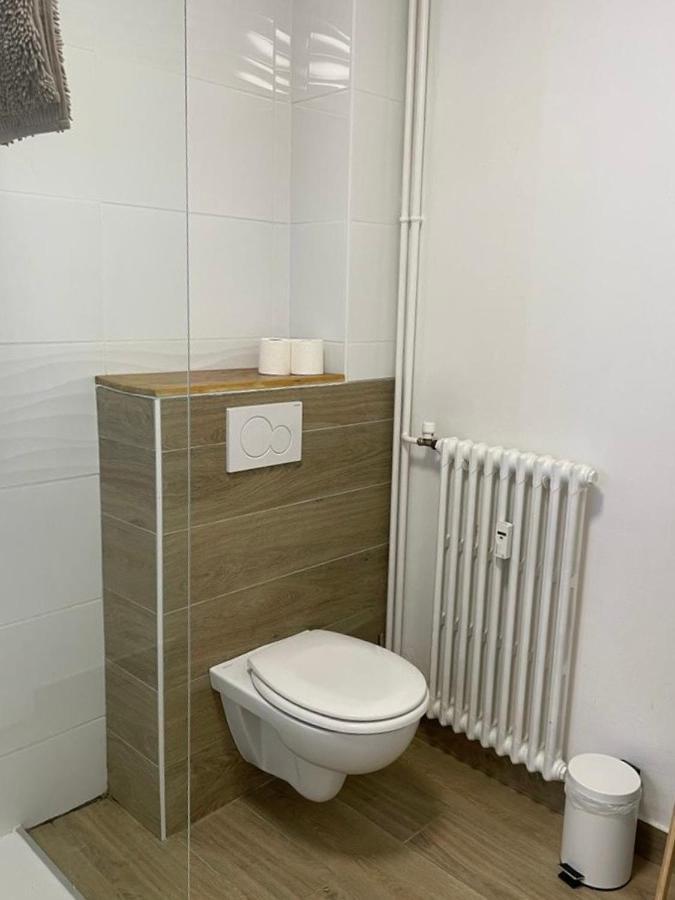 Le Tranquille - Calme - Parking Prive Apartment Ambilly Екстериор снимка